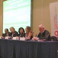 Seminario en Valdivia sept 2013